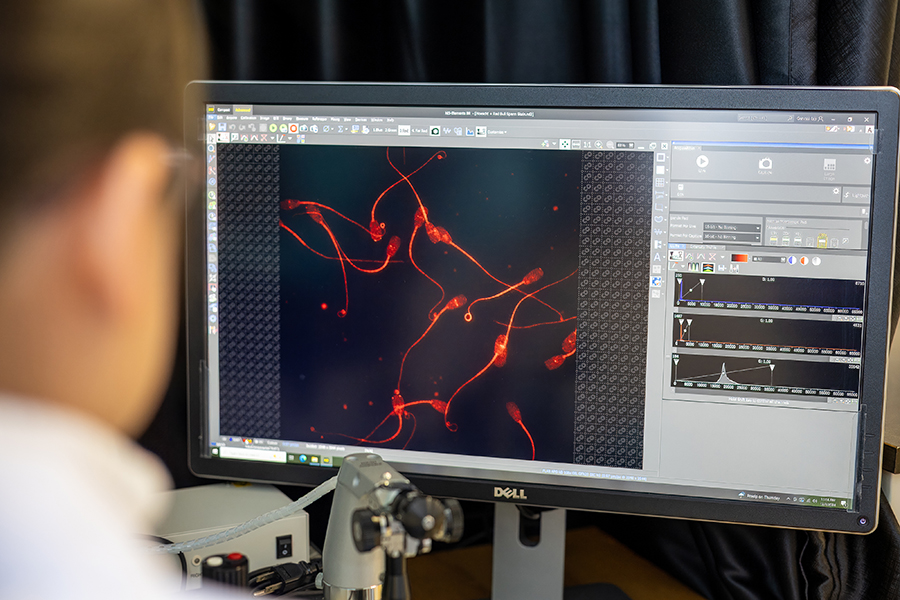researcher looking at computer screen