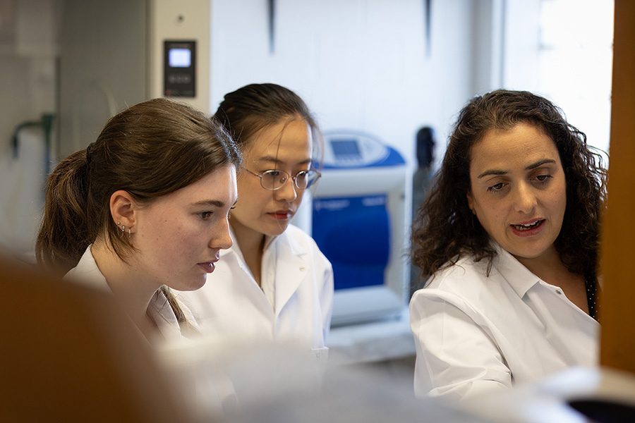 lab group